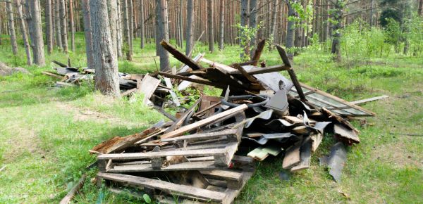 Debris Removal Service in Riverton